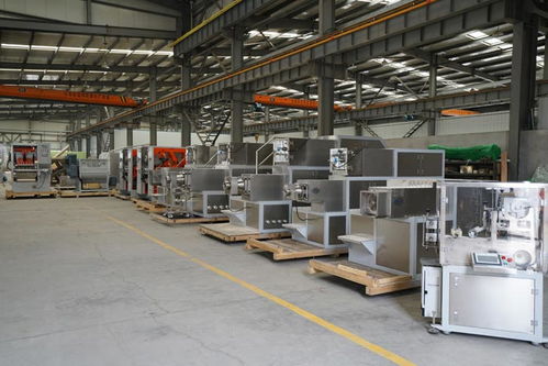 盐城洗衣皂设备供应技术咨询