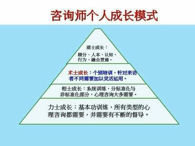 心理爱好者、咨询师与非专业学员 在技术咨询浪潮中的定位与前景