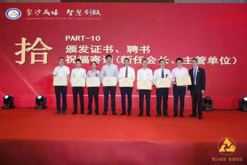 福建省信息技术咨询服务行业协会会长陈维芳向全国人民拜新年